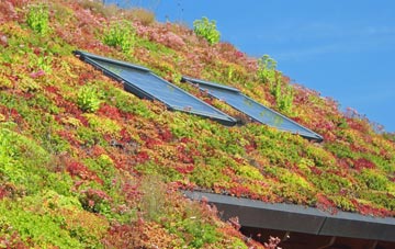 Pimlico living roof systems