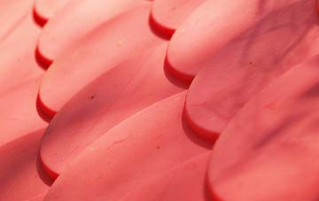 Pimlico plastic roof costs