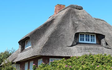 thatch roofing Pimlico